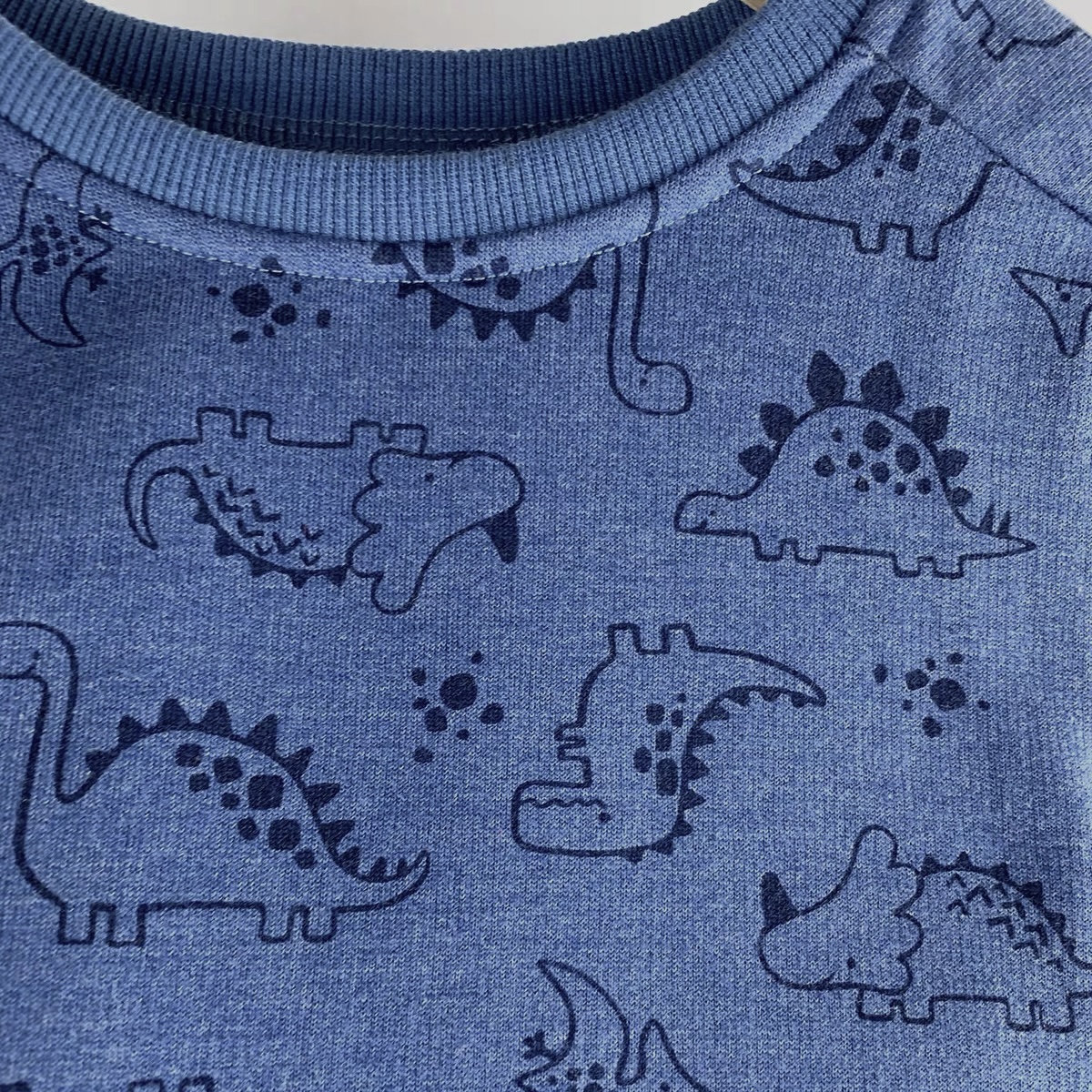 Sweatshirt with dinosaurs